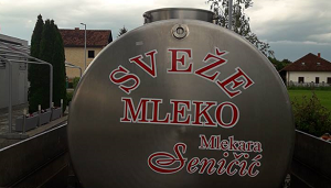 Mlekara Seničić sveže mleko